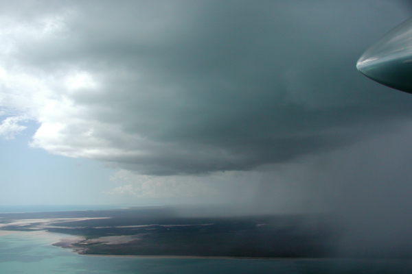 View of Hector while flying in the inflow region of the storm.